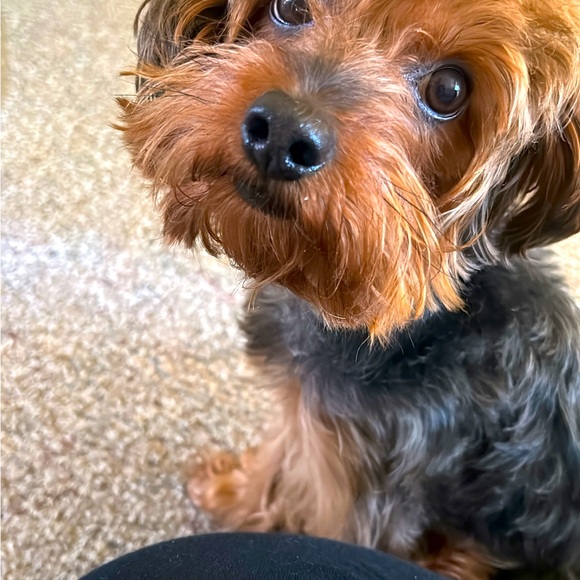 ‼️Meet your Seller/Buyer‼️ - Picture 7 of 12